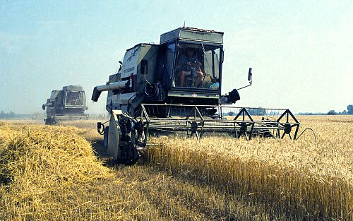 Aratási konferencia