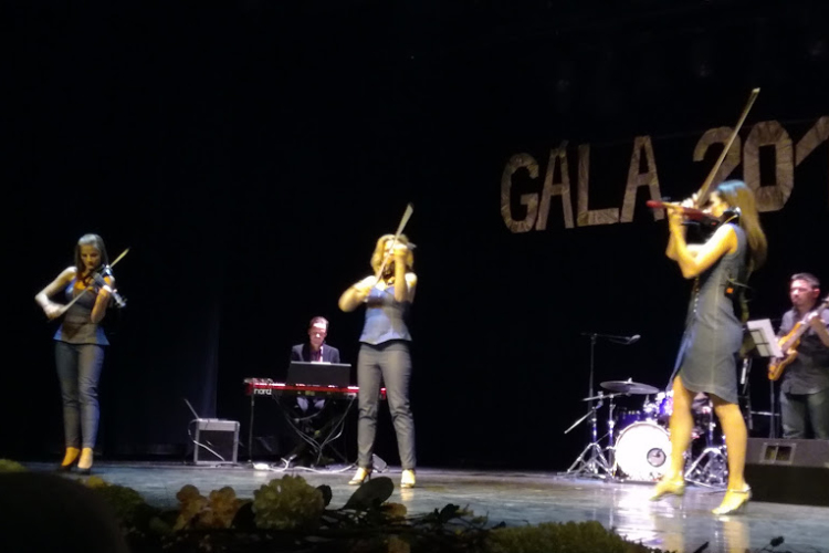 Pazar hangulatú új év hercegnőkkel