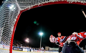 A bikák jobbak voltak a medvénél