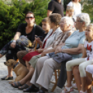 Ligetzáró-Évadnyitó