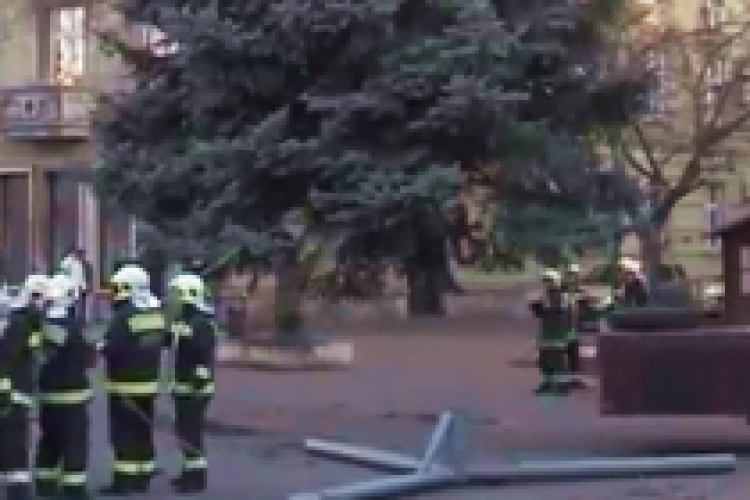 Barátság adta a város fáját - DSTV videóval