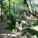 Hónap diákjai az állatkertben