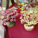 Megyenap városunkban