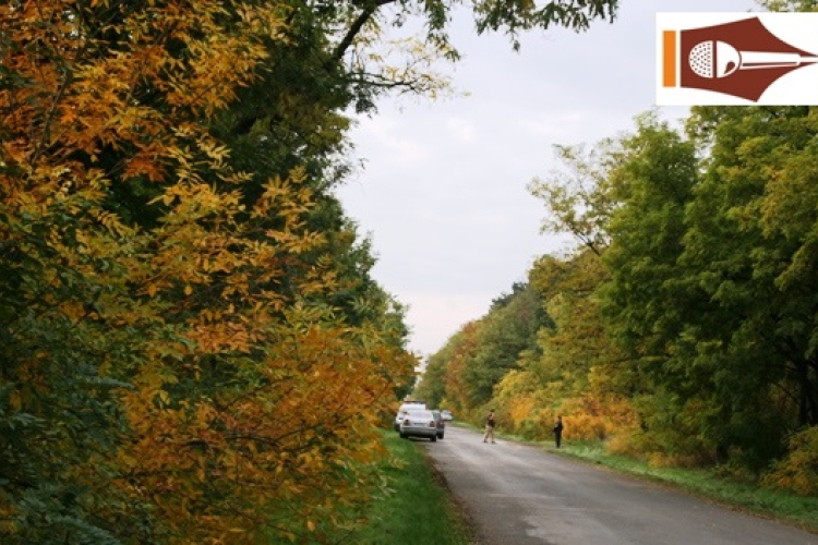 Örökségre utazott a kalapácsos gyilkos a Blikk szerint