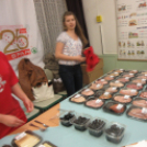 Szakmák éjszakája