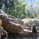 Hónap diákjai az állatkertben