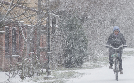 Fákat csavart ki a szél, autók csúsztak árokba Fejérben