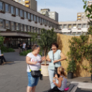 Majális a Városháza téren