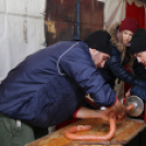 Pentelei Kolbászfesztivál