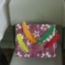 Szakmák éjszakája