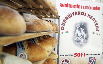 Félmilliót ért  a város kenyere