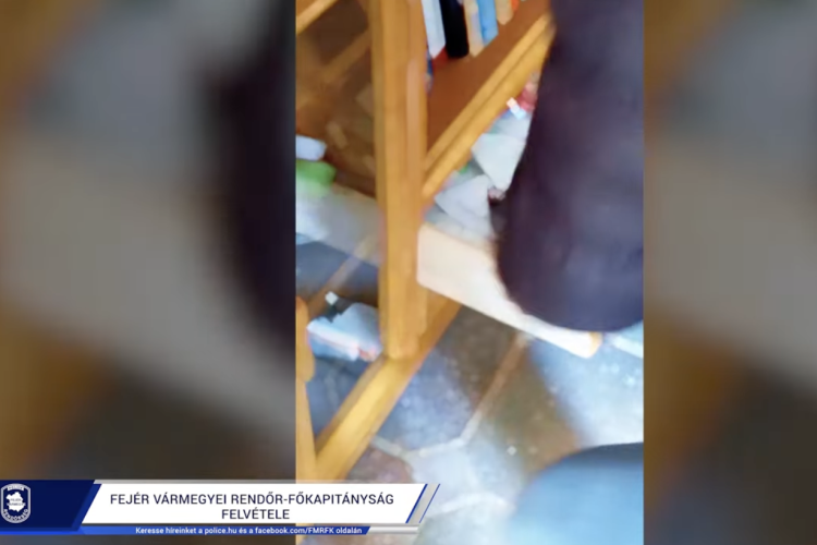 INGATLANCSALÓ BŰNSZÖVETSÉG FELSZÁMOLVA 