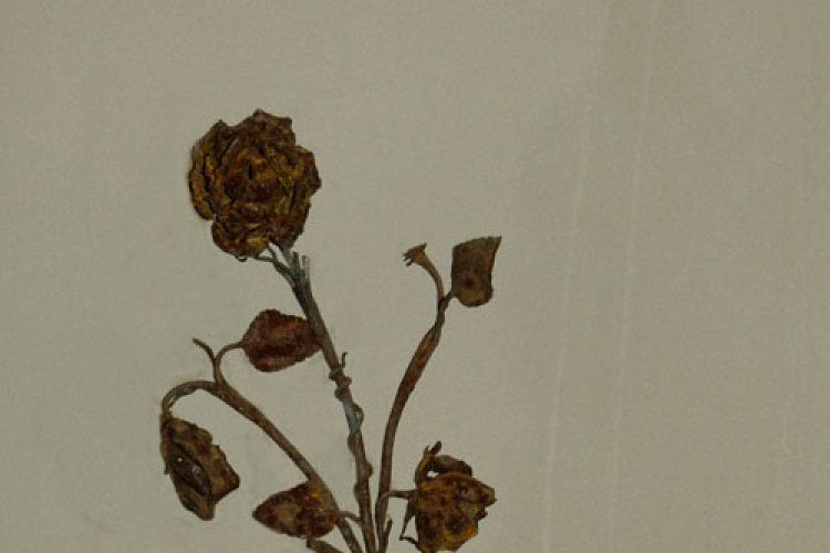 Szalay Péter „Embert keresek” kiállítása