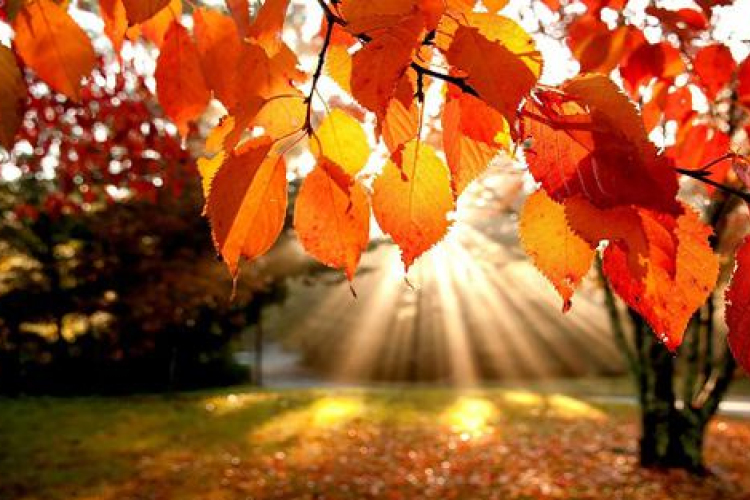 Úgy tűnik, kapunk még meleget