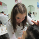 Szakmák éjszakája