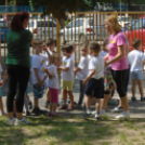 Ovi sportnap - ovi focival