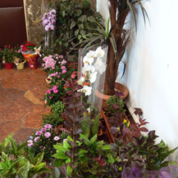 „Virágos Dunaújvárosért 2014” verseny