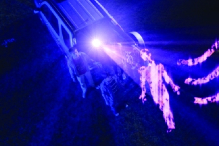 Aura a Dózsa Moziban