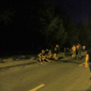 A hulláktól a pandán át a Biohazardig