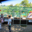 Ovifoci- pályaavató