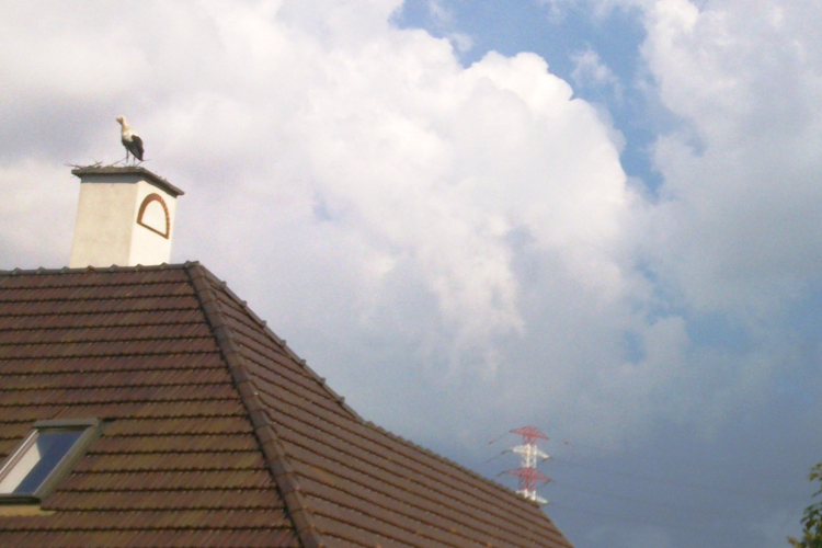 Szétköltöztek gólyáék