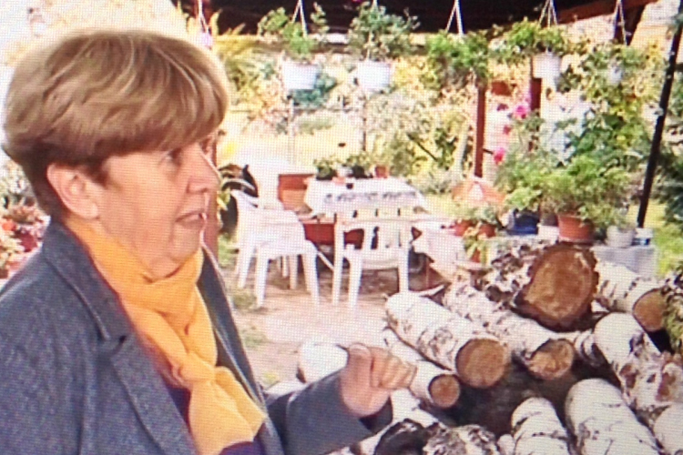 Tűzifát adott a Védőháló