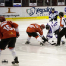 Dunaújvárosi Acélbikák 