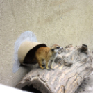 Hónap diákjai az állatkertben