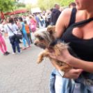 Májusi mulatság a Dózsa téren