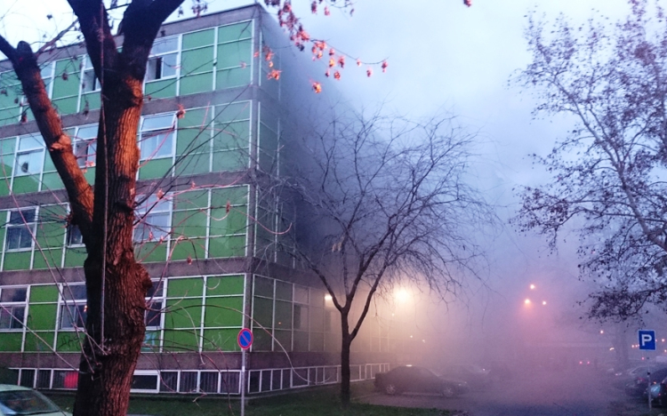 Már égett is a Zöld SZTK- videóval