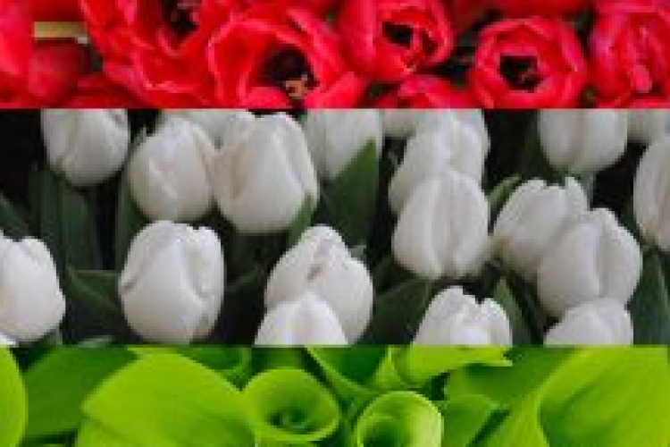 Itt lesz március idusa