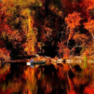 Képeket vegyenek az Arany iskoláért!