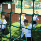 Ovifoci- pályaavató