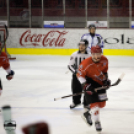 Dunaújvárosi Acélbikák 