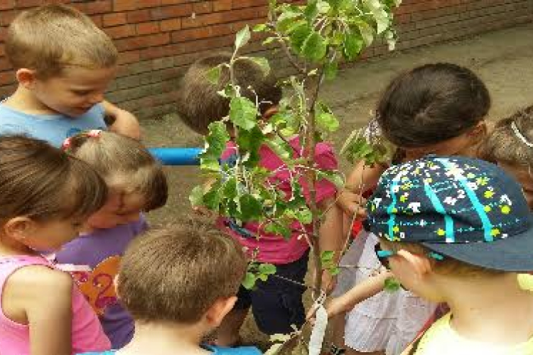 KÖSZ, Hankook!– megvannak a győztesek!