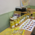 Szakmák éjszakája