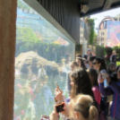 Hónap diákjai az állatkertben