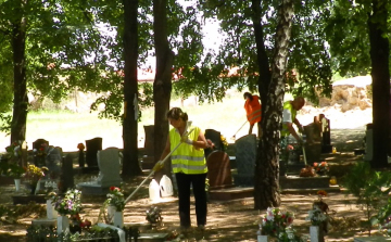 Diákmunkásokat várnak