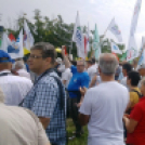 Tüntetés a Hankooknál