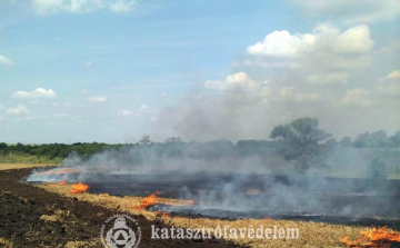 Tarló égett Előszállásnál 