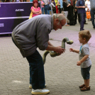 Nyárévzáró program