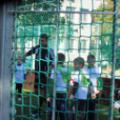 Ovifoci- pályaavató