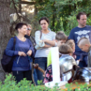 Múzeumok Éjszakája