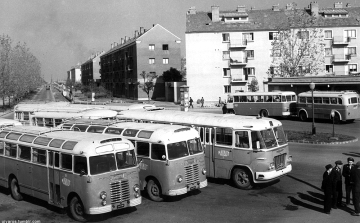 Játék egy vacsoráért!