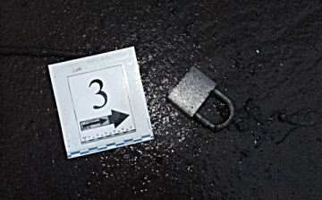 Garázssoron fosztogattak