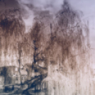 Képeket vegyenek az Arany iskoláért!