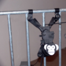 Szalay Péter „Embert keresek” kiállítása