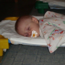 Zengő-bongó bölcsisek hétköznapjai