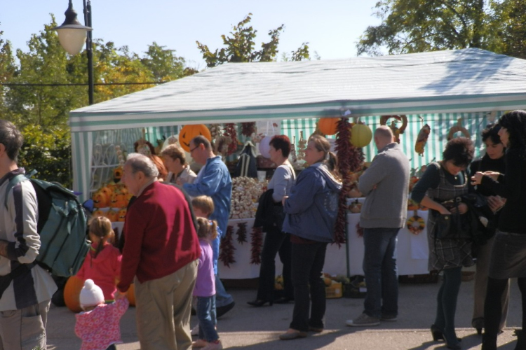 Rácalmás - tökön tök