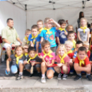 VI. Dunaújvárosi Sportválasztó és IV. Hangszerválasztó